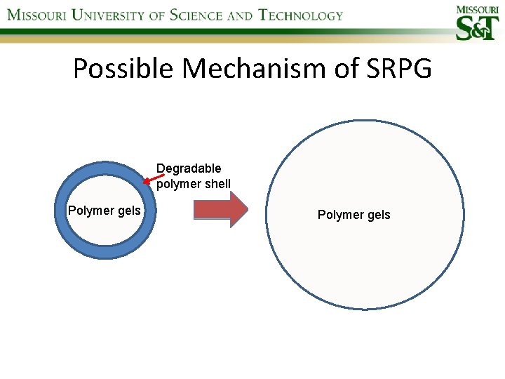 Possible Mechanism of SRPG Degradable polymer shell Polymer gels 