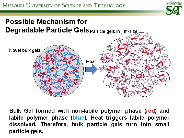 Possible Mechanism for Degradable Particle Gels Particle gels in mm-size Novel bulk gels Heat