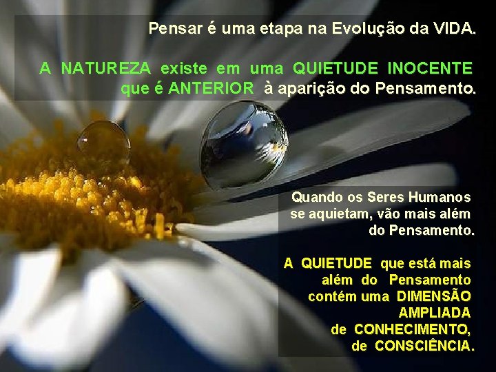 Pensar é uma etapa na Evolução da VIDA. A NATUREZA existe em uma QUIETUDE