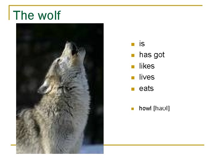 The wolf n is has got likes lives eats n howl [haʊl] n n