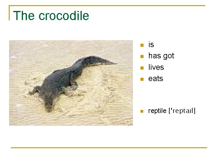 The crocodile n is has got lives eats n reptile [‘reptaıl] n n n