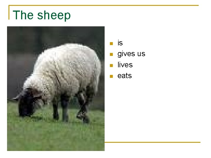 The sheep n n is gives us lives eats 