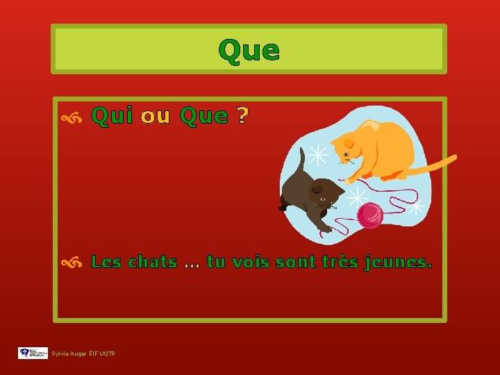Que Qui ou Que ? Les chats … tu vois sont très jeunes. Sylvie