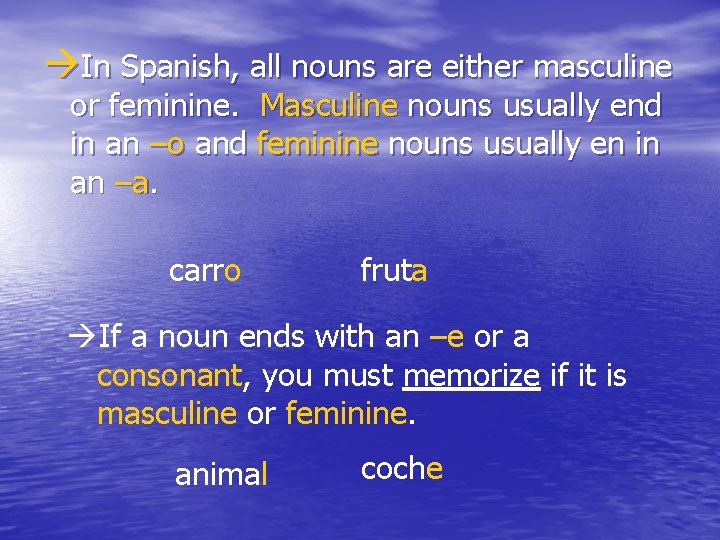  In Spanish, all nouns are either masculine or feminine. Masculine nouns usually end