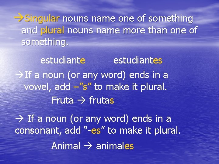  Singular nouns name one of something and plural nouns name more than one