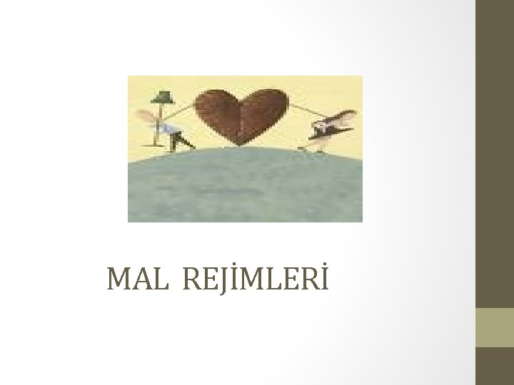 MAL REJİMLERİ 