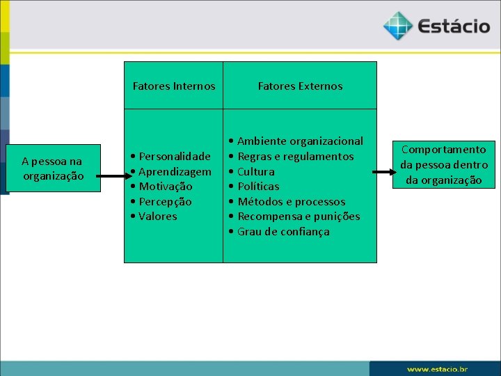 Fatores Internos A pessoa na organização • Personalidade • Aprendizagem • Motivação • Percepção