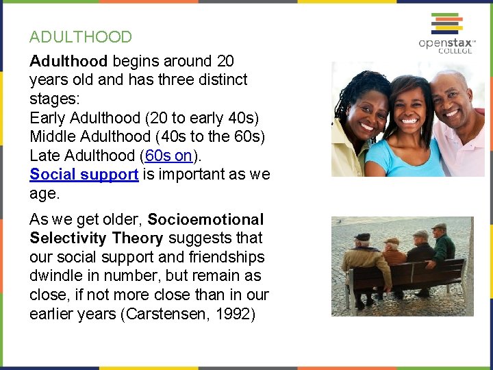 ADULTHOOD Adulthood begins around 20 years old and has three distinct stages: Early Adulthood