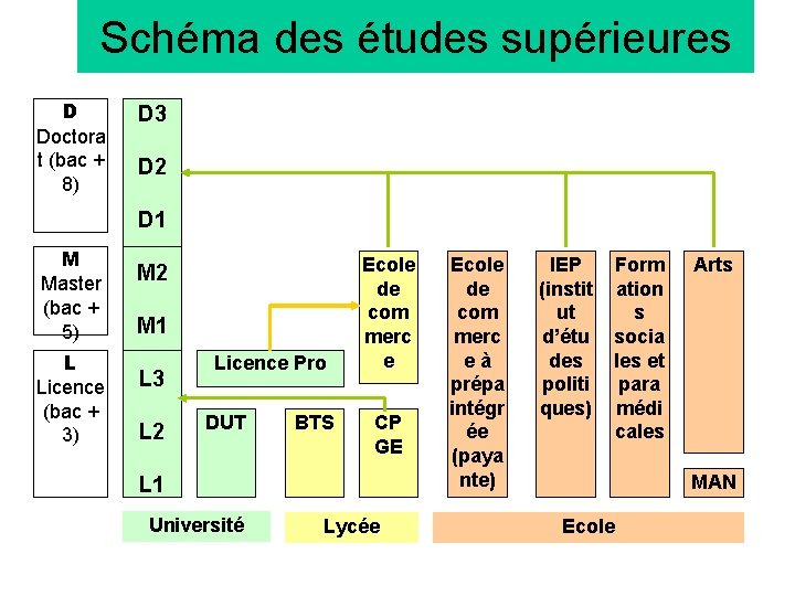 Schéma des études supérieures D Doctora t (bac + 8) D 3 D 2