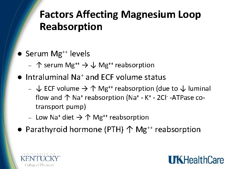 Factors Affecting Magnesium Loop Reabsorption l Serum Mg++ levels – l Intraluminal Na+ and