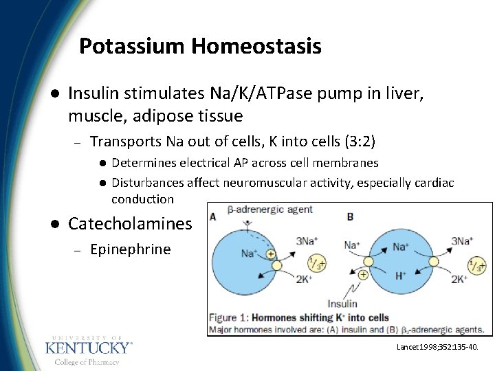 Potassium Homeostasis l Insulin stimulates Na/K/ATPase pump in liver, muscle, adipose tissue – Transports