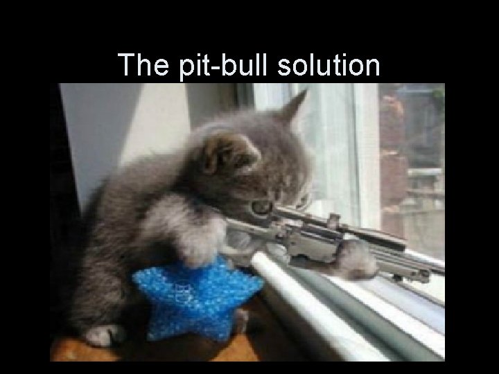 The pit-bull solution 