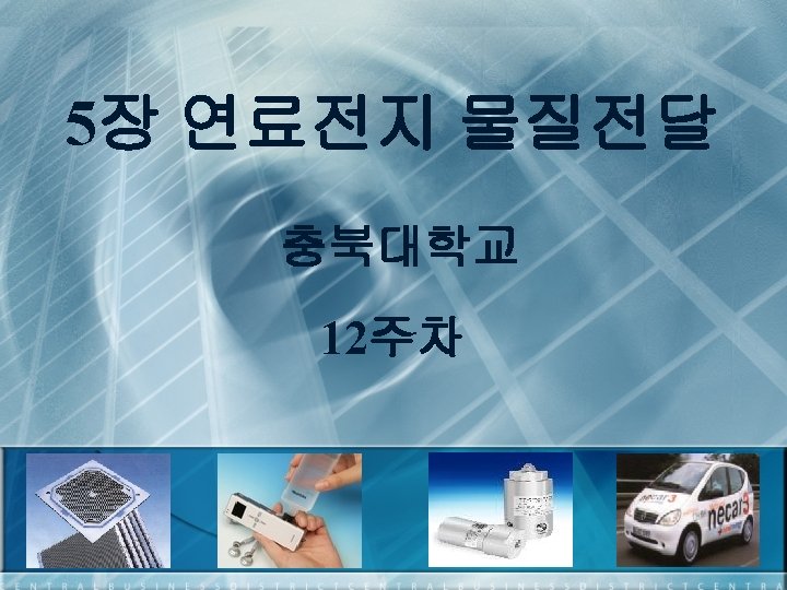 Chapter 5 Fuel Cell Mass Transport 5 1