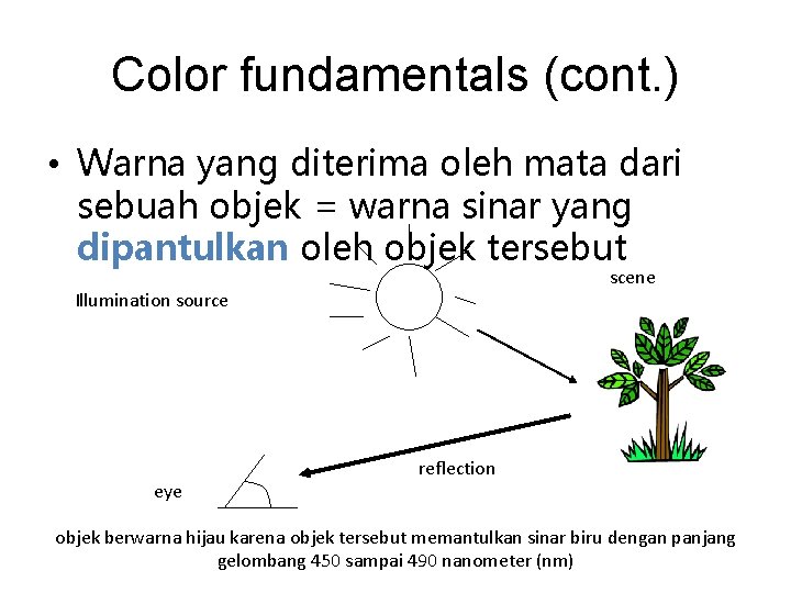 Color fundamentals (cont. ) • Warna yang diterima oleh mata dari sebuah objek =
