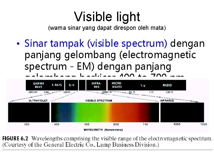 Visible light (warna sinar yang dapat direspon oleh mata) • Sinar tampak (visible spectrum)