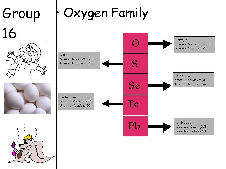 Group 16 • Oxygen Family 