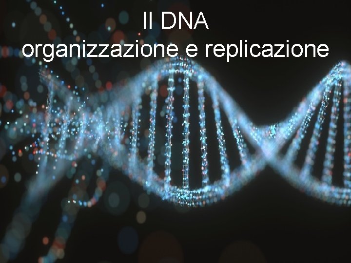 Il DNA organizzazione e replicazione 