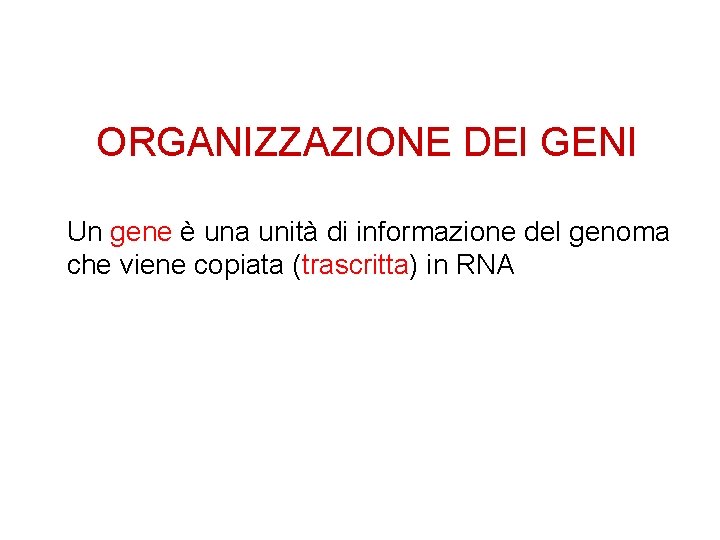 ORGANIZZAZIONE DEI GENI Un gene è una unità di informazione del genoma che viene