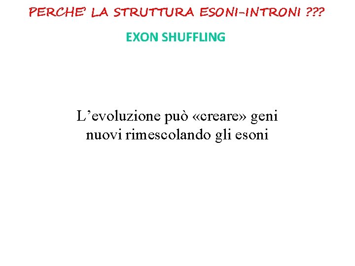 PERCHE’ LA STRUTTURA ESONI-INTRONI ? ? ? EXON SHUFFLING L’evoluzione può «creare» geni nuovi