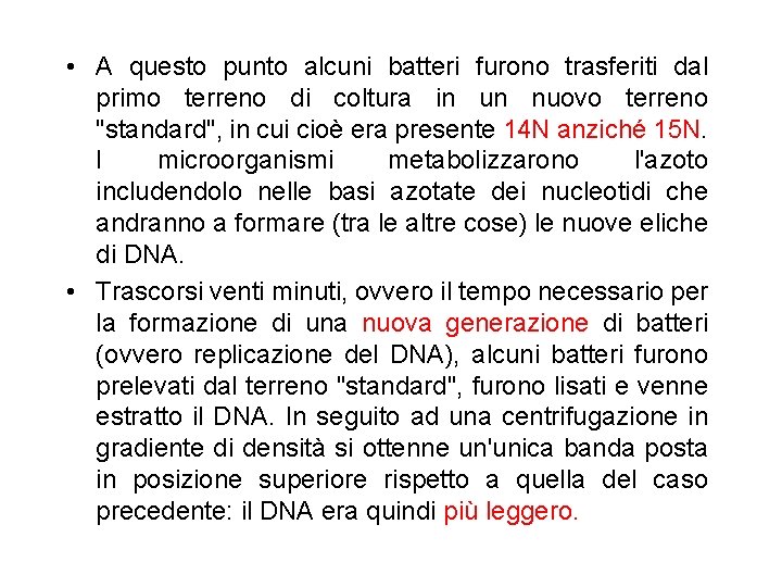  • A questo punto alcuni batteri furono trasferiti dal primo terreno di coltura