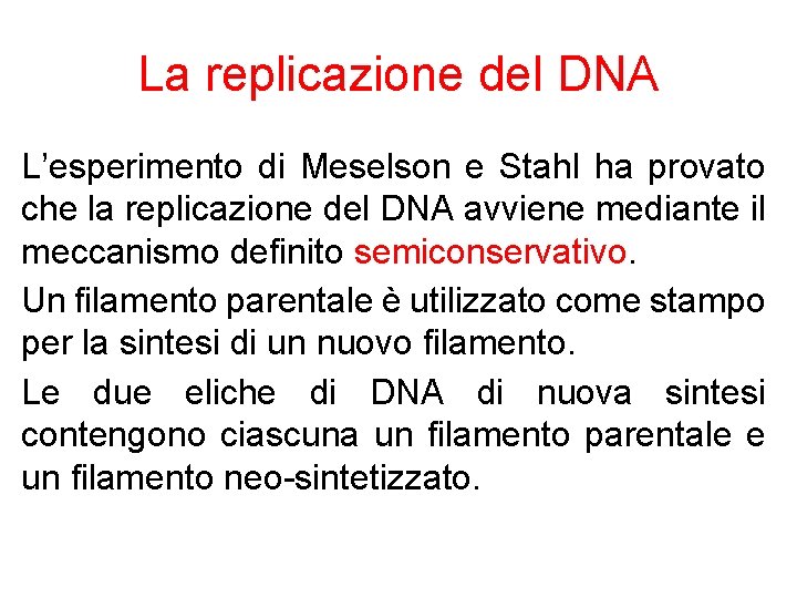 La replicazione del DNA L’esperimento di Meselson e Stahl ha provato che la replicazione