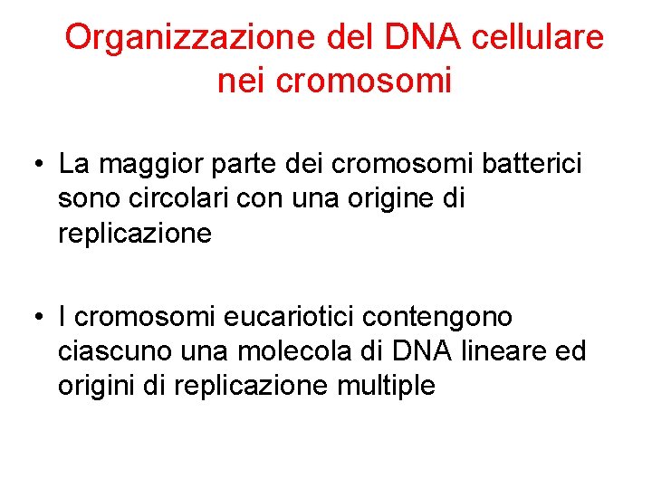 Organizzazione del DNA cellulare nei cromosomi • La maggior parte dei cromosomi batterici sono