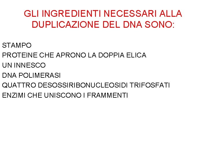 GLI INGREDIENTI NECESSARI ALLA DUPLICAZIONE DEL DNA SONO: STAMPO PROTEINE CHE APRONO LA DOPPIA