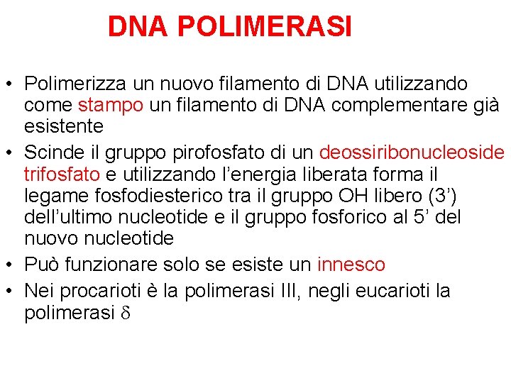 DNA POLIMERASI • Polimerizza un nuovo filamento di DNA utilizzando come stampo un filamento