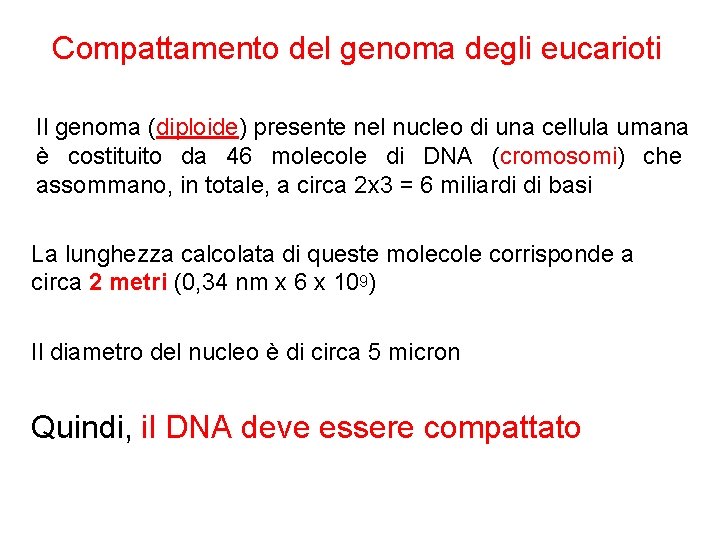 Compattamento del genoma degli eucarioti Il genoma (diploide) presente nel nucleo di una cellula