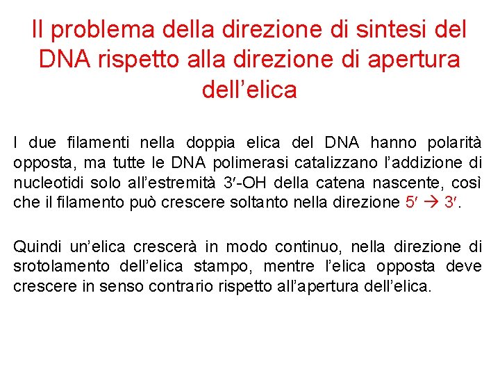 Il problema della direzione di sintesi del DNA rispetto alla direzione di apertura dell’elica