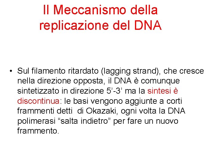 Il Meccanismo della replicazione del DNA • Sul filamento ritardato (lagging strand), che cresce