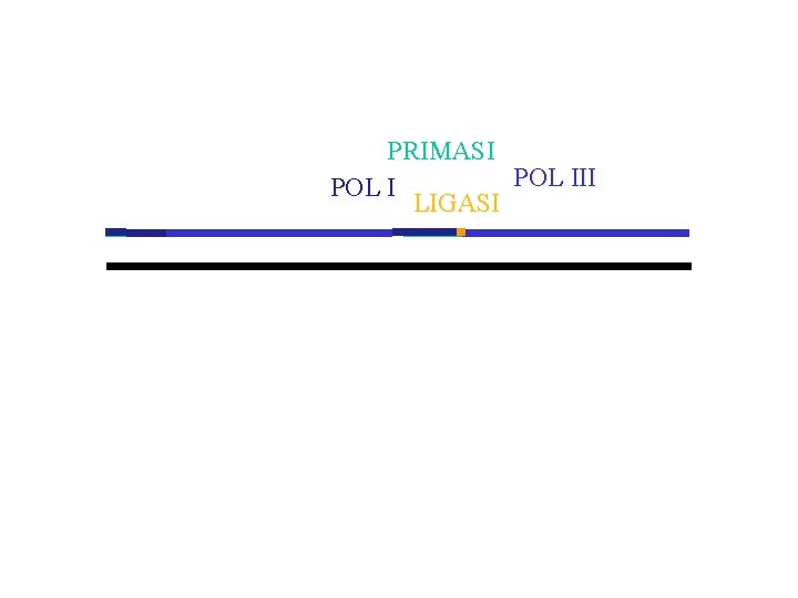 PRIMASI POL III POL I LIGASI 
