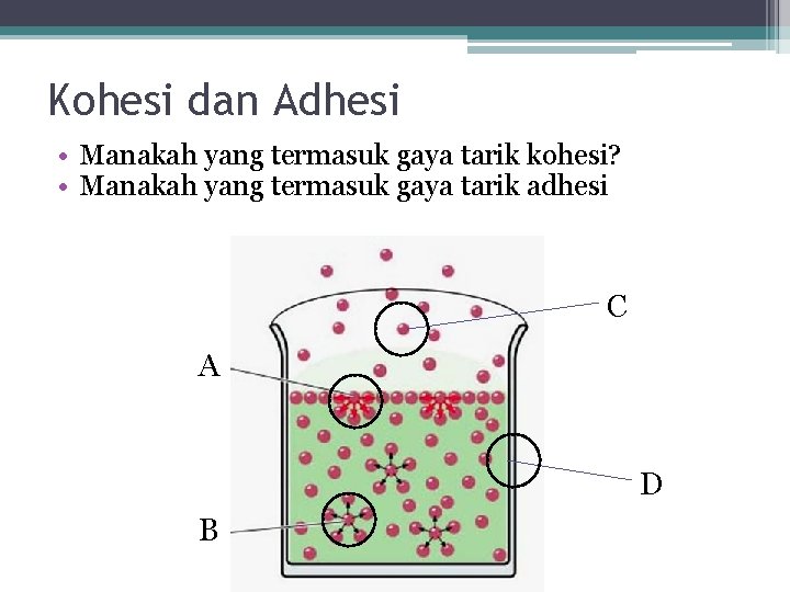 Kohesi dan Adhesi • Manakah yang termasuk gaya tarik kohesi? • Manakah yang termasuk