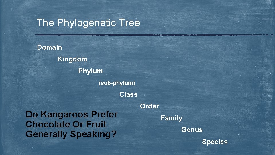 The Phylogenetic Tree Domain Kingdom Phylum (sub-phylum) Class Do Kangaroos Prefer Chocolate Or Fruit