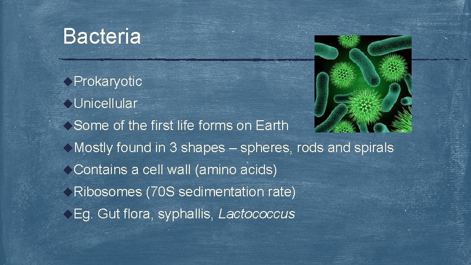 Bacteria u. Prokaryotic u. Unicellular u. Some u. Mostly of the first life forms