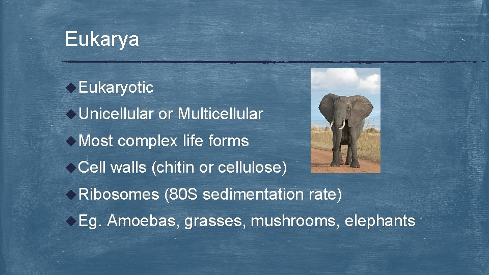 Eukarya u. Eukaryotic u. Unicellular u. Most u. Cell or Multicellular complex life forms