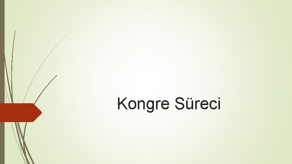 Kongre Süreci 