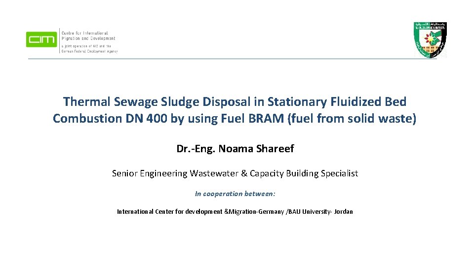 Thermal Sewage Sludge Disposal in Stationary Fluidized Bed Combustion DN 400 by using Fuel