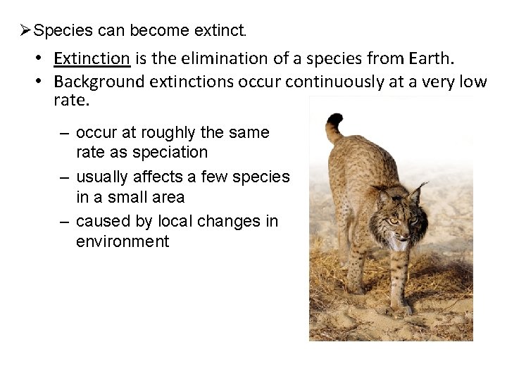 ØSpecies can become extinct. • Extinction is the elimination of a species from Earth.