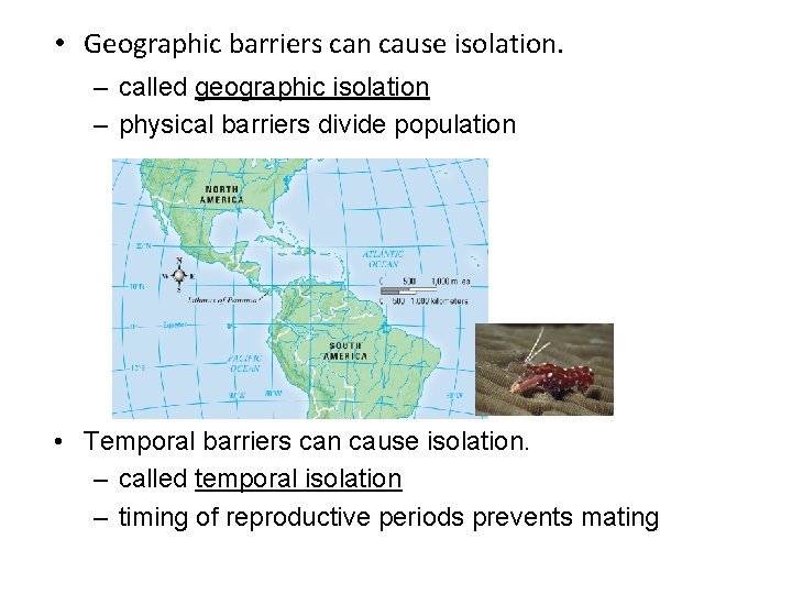  • Geographic barriers can cause isolation. – called geographic isolation – physical barriers