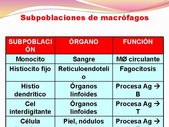 Subpoblaciones de macrófagos SUBPOBLACI ÓRGANO FUNCIÓN ÓN Monocito Sangre MØ circulante Histiocito fijo Reticuloendoteli