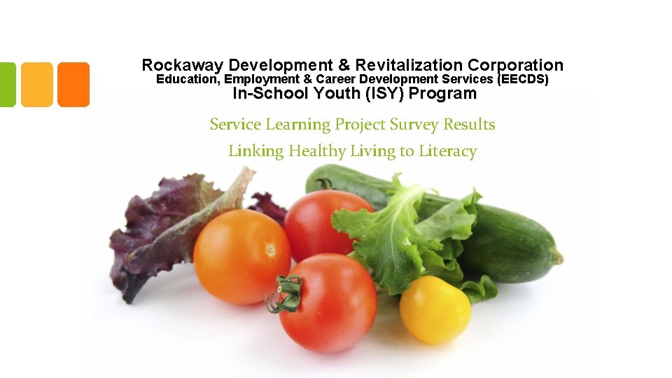 Rockaway Development & Revitalization Corporation Education, Employment & Career Development Services (EECDS) In-School Youth