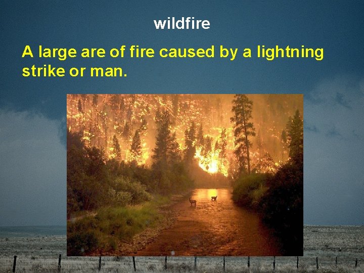wildfire A large are of fire caused by a lightning strike or man. 
