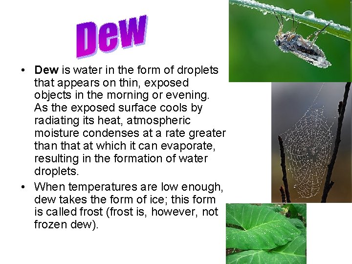  • Dew is water in the form of droplets that appears on thin,