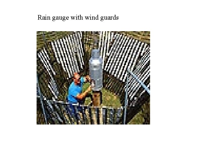 Rain gauge with wind guards 