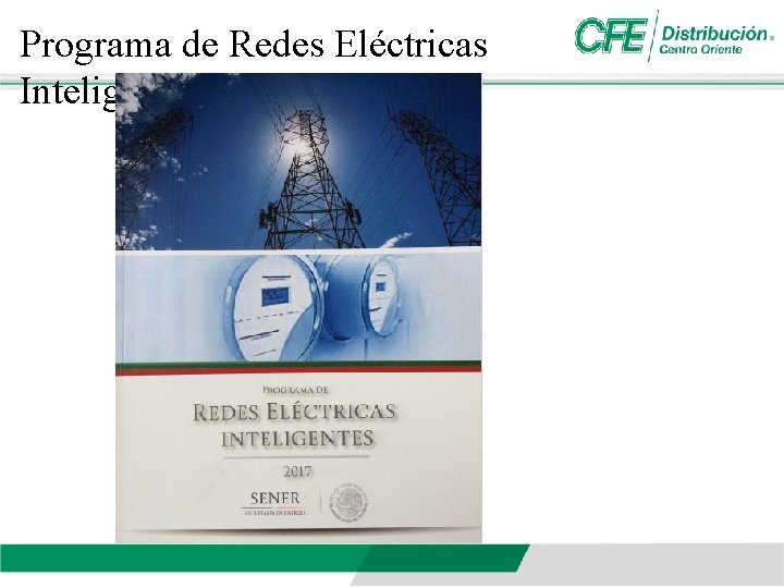 Programa de Redes Eléctricas Inteligentes 