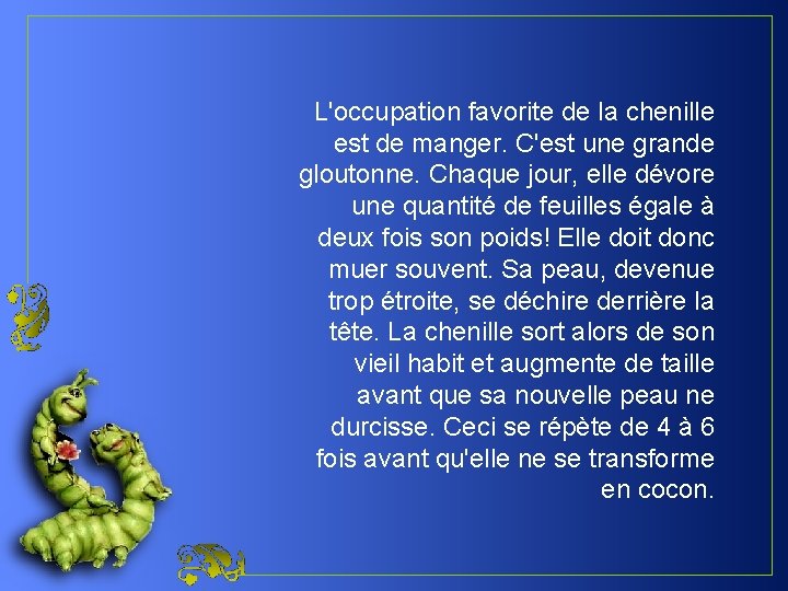 L'occupation favorite de la chenille est de manger. C'est une grande gloutonne. Chaque jour,