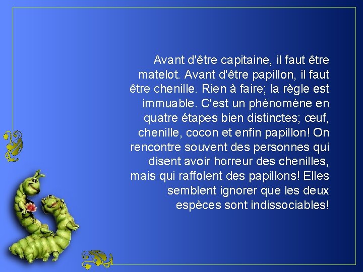 Avant d'être capitaine, il faut être matelot. Avant d'être papillon, il faut être chenille.