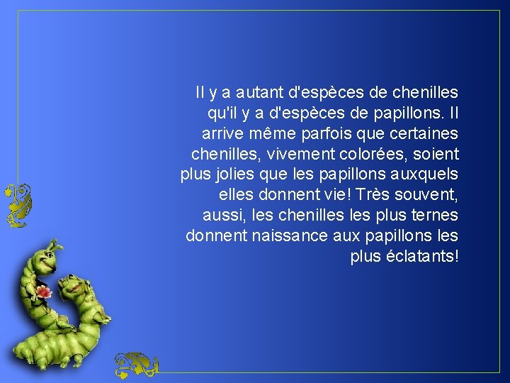 Il y a autant d'espèces de chenilles qu'il y a d'espèces de papillons. Il