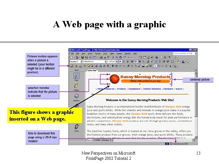 A Web page with a graphic XP This figure shows a graphic inserted on